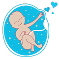 Pregnancy Week By Week