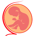 Pregnancy Test icône