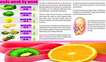 pregnancy screenshot 2