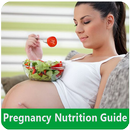 Pregnancy  Nutrition Guide APK