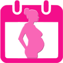 Pregnancy Due Date Calculator APK