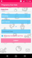 Pregnancy Due Date Calculator постер