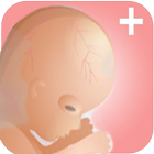 Pregnancy Plus + icône