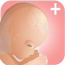 Pregnancy Plus + APK