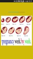 pregnancy week by week Affiche