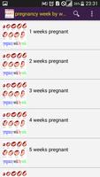 1 Schermata pregnancy week by week