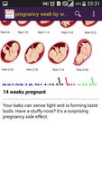 pregnancy week by week Ekran Görüntüsü 3