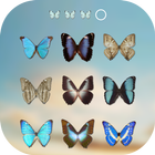 Butterfly Lock Screen icon