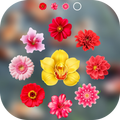 Flower Lock Screen