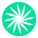 bamboo APK
