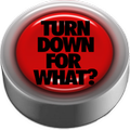 TDFW Button - The Best Button