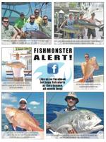 FishMonster Magazine capture d'écran 3