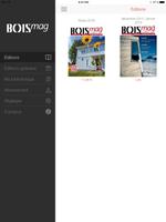 BOISmag-poster