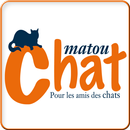 Matou Chat APK