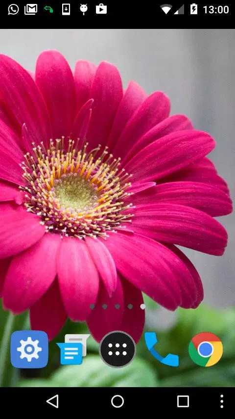 Descarga de APK de lwp flor bonita para Android Descarga de APK de lwp flor bonita para Android