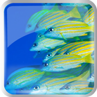 Ocean fishes ikona