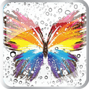 Butterfly and Dew Drop APK