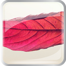 Fading Beauty APK