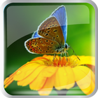 Butterfly in the garden icon