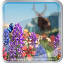bosque del verano APK