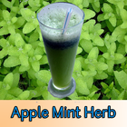 Apple Mint Herb icon
