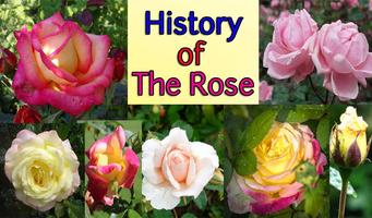 History of the Rose screenshot 1