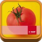 BASF México-Cultivo del Tomate アイコン