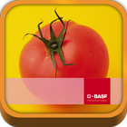 BASF México-Cultivo del Tomate icon