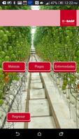 BASF México-Cultivo del Tomate screenshot 1