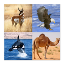 Guess The Animal -  Quiz APK
