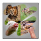 Scratch Animal Quiz ikona