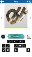 Scratch Animal Quiz 截图 2