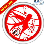 طيور الجنة فيديو بدون ايقاع