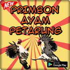 Primbon Ayam Petarung Terlengkap icône