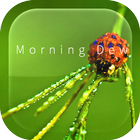 Morning Magic Dew Ripple LWP icône