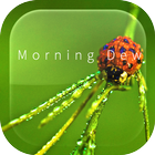 Morning Magic Dew Ripple LWP 图标