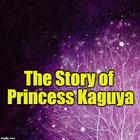 آیکون‌ The Story of Princess Kaguya