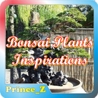 Bonsai Plants Ideas أيقونة