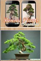 Bonsai Plants Ideas تصوير الشاشة 3