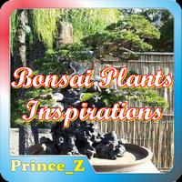 Bonsai Plants Ideas poster