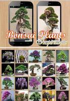 Bonsai Plants Ideas تصوير الشاشة 2