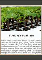 Khasiat & Budidaya Buah Tin screenshot 3
