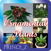 Ornamental Plants APK