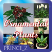 Ornamental Plants
