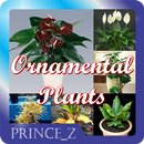 Ornamental Plants APK