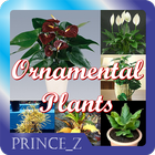 Ornamental Plants icono