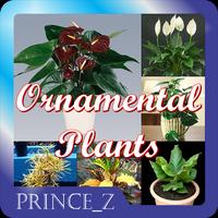 Ornamental Plants Affiche