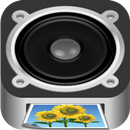 Bolle Player APK