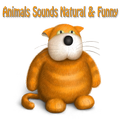 Funny Animal Sounds