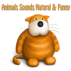 Funny Animal Sounds icône